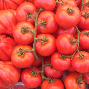 Gebackene Tomaten mit Feta – low carb –