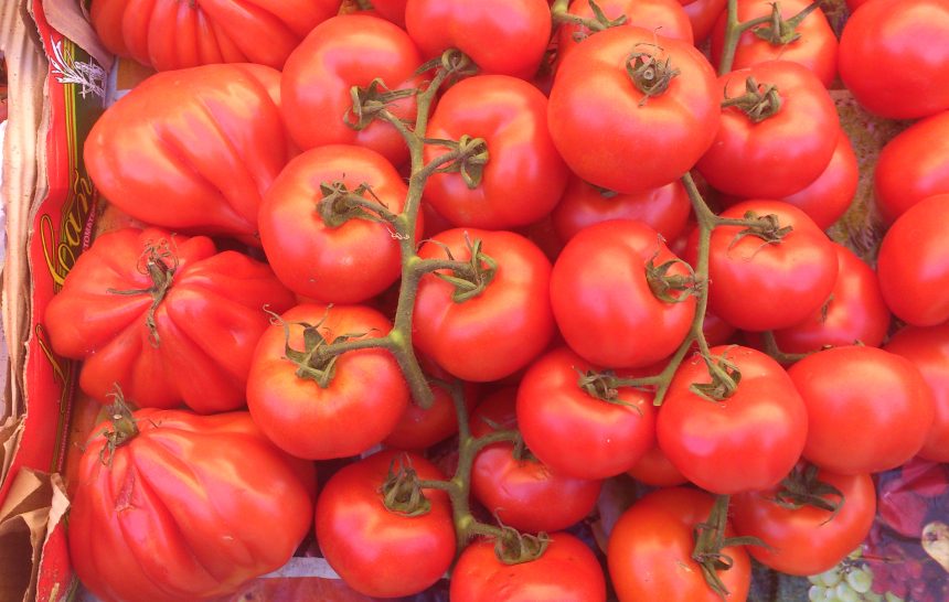 Gebackene Tomaten mit Feta – low carb –